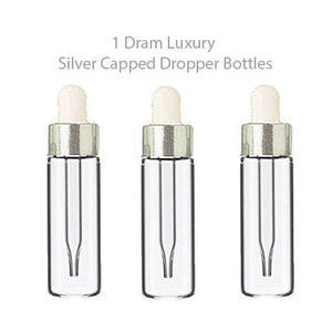 6 LUXURY Glass 5ml SILVER Dropper Bottles for Essential Oils, Perfumes, Serums, Beard Oils, Upscale Private Label Packaging 1/6 Oz