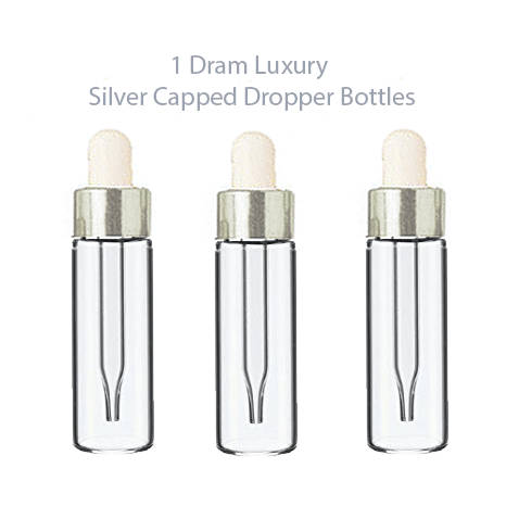 6 LUXURY Glass 5ml SILVER Dropper Bottles for Essential Oils, Perfumes, Serums, Beard Oils, Upscale Private Label Packaging 1/6 Oz
